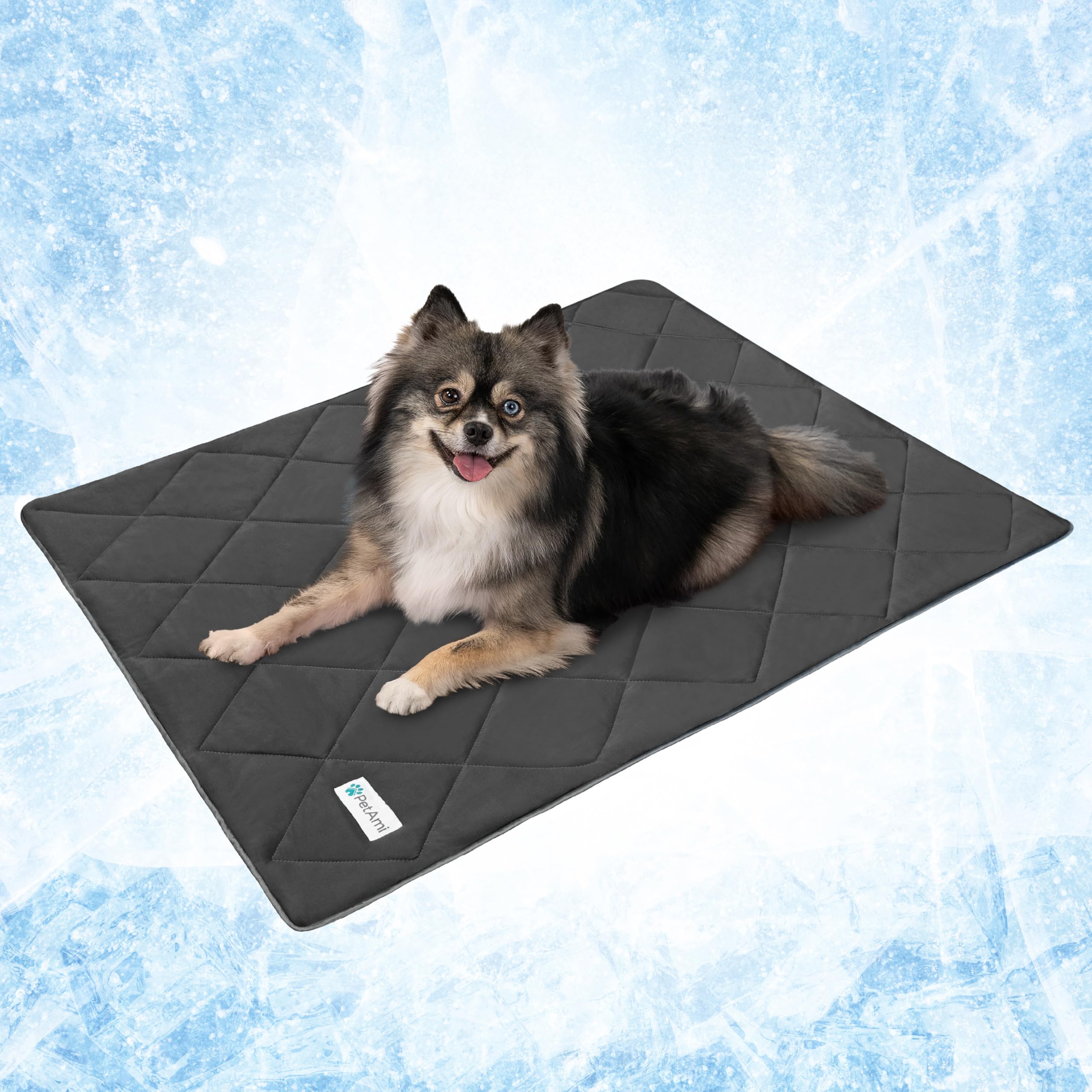 Photo 1 of PetAmi Premium Cooling Dog Blanket | Lightweight Fluffy Pet Throw Blanket Bed Cover for Dogs, Cat, Puppies | Pet Blanket Furniture Protector Couch Sofa | Reversible Fuzzy Cozy | 24x32, Grey