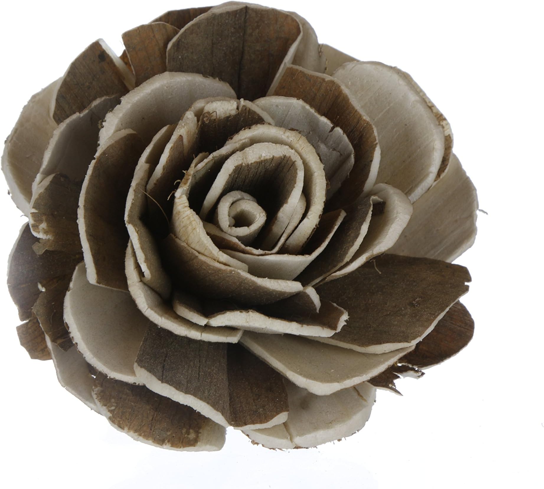 Dozen Sola Wood Flower - 2" Wesley