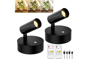 GORDNWE LED Rechargeable Spotlight Indoor, Battery Operated Spot Lights with Remote Control & Timer, Small Dimmable Wireless Wall Lamp Accent Lighting for Pictures Plant Artwork Reading Black 2 Pack