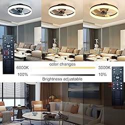 LCYFBE 20" Small Bladeless Ceiling Fan with Lights