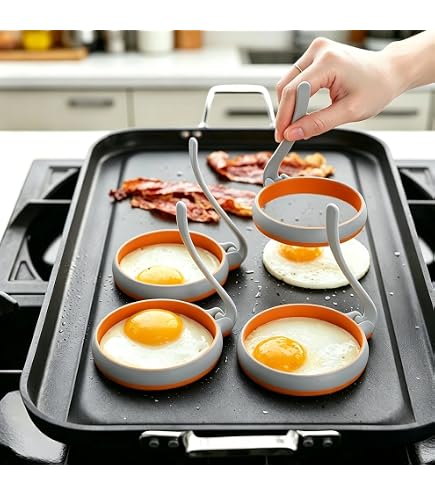 Amazon.com: MSC International FBA_50600 50666 Joie Eggy 3.5