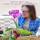Riare Natural Sphagnum Moss 100g Long-Fibered Orchid Carnivorous Plants view 7