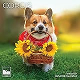 July 2025- December 2026 Wall Calendar 18 Month