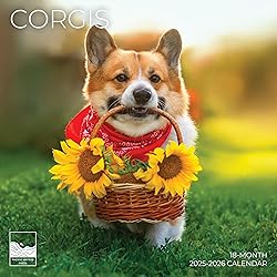July 2025- December 2026 Wall Calendar 18 Month