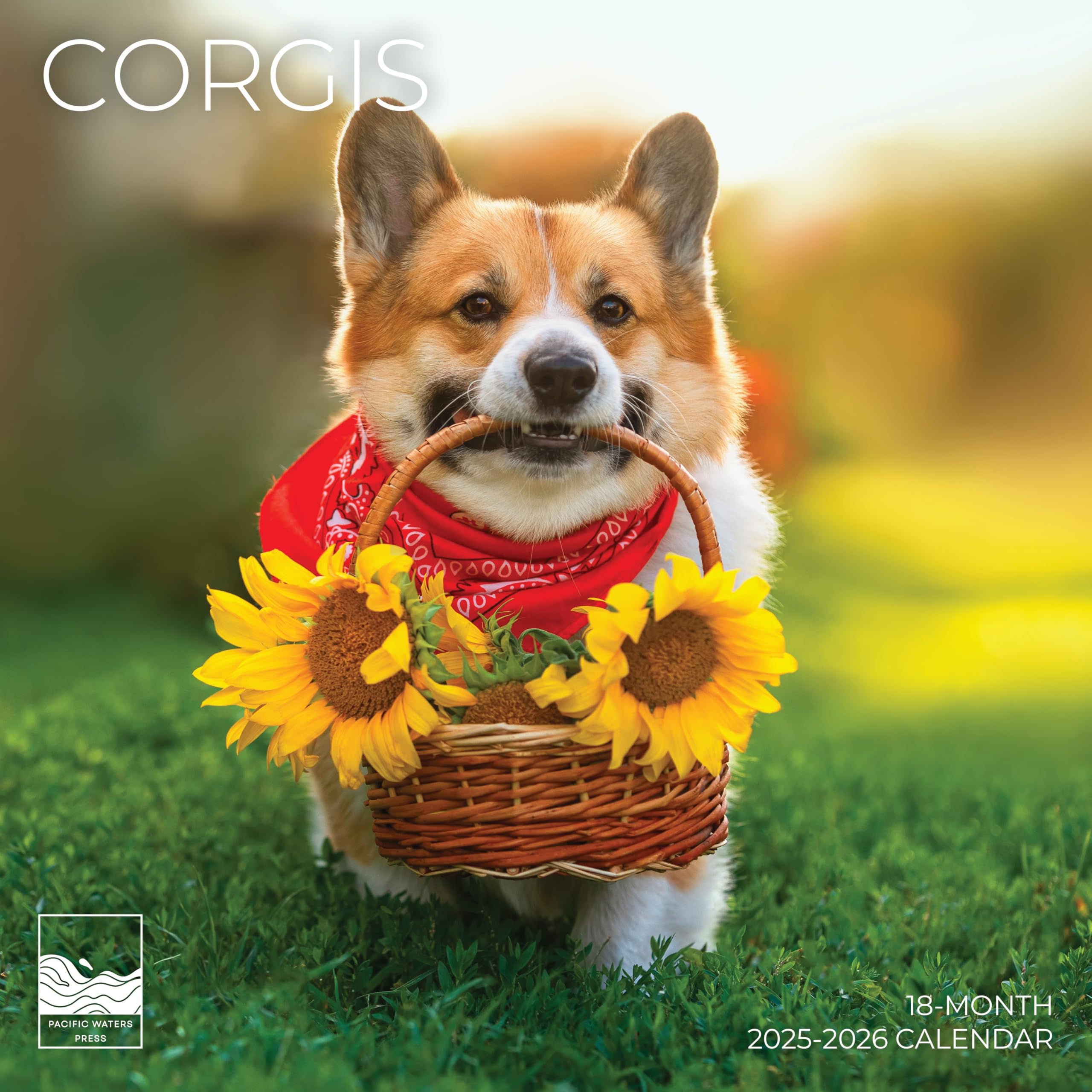 July 2025- December 2026 Wall Calendar 18 Month