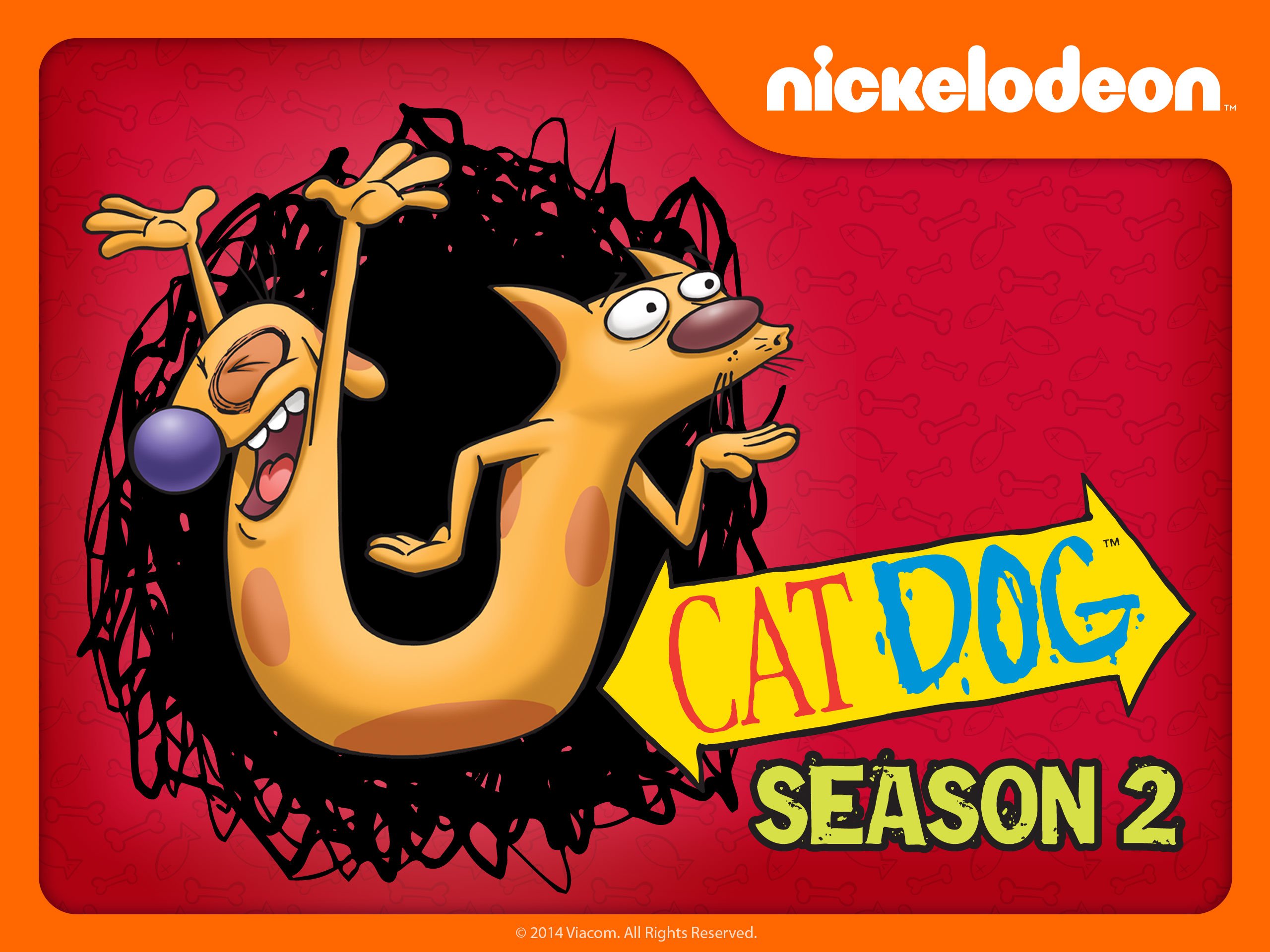 stream catdog