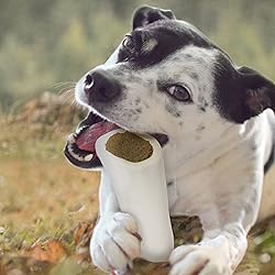 Cadet Stuffed Shin Bones - Highly Digestible, High