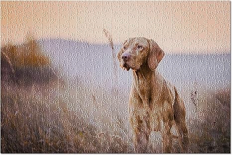 vizsla puzzle