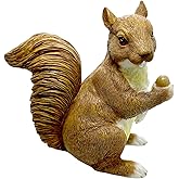 CNFCollection Garden Decor Polyresin Squirrel Statue with Acorn Statue - Charming Outdoor Decoration Ornament for Patio, Lawn, or Yard - Ideal for Garden Decor Enthusiasts and Nature Lovers
