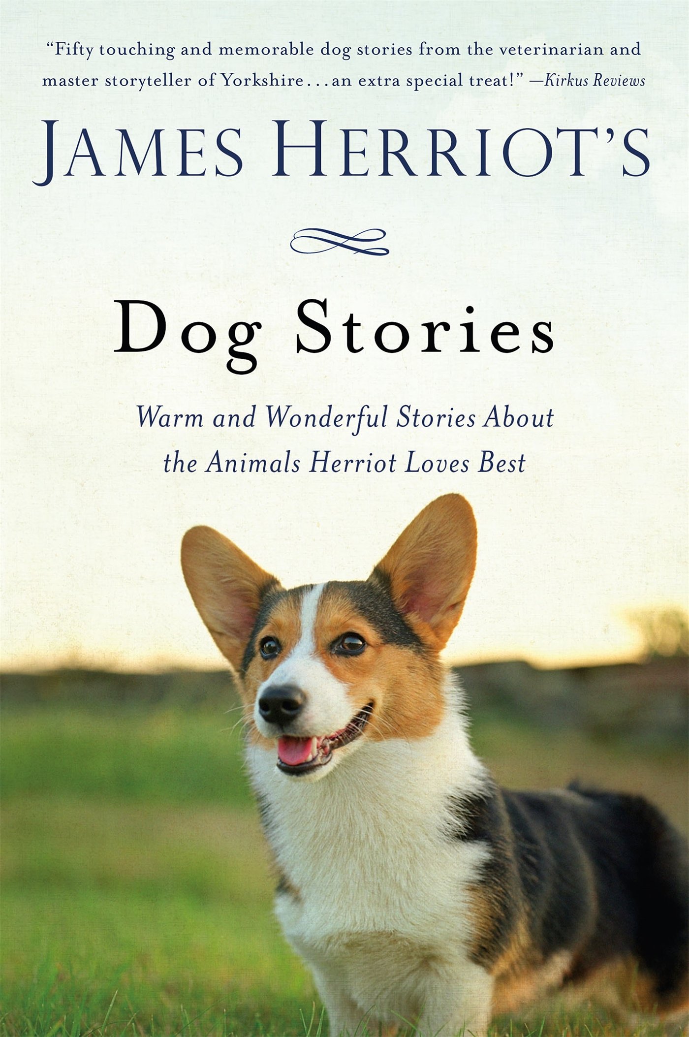 great dog stories