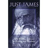 Just James: The Brother of Jesus in History and Tradition (Studies on Personalities of the New Testament)