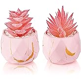 Der Rose Set of 2 Fake Succulent Plants Mini Artificial Plants in Shatterproof Gold-Streak Pots, Pink Room Decor for Bathroom Vanity, Office Desk Accessories, Gift for Women