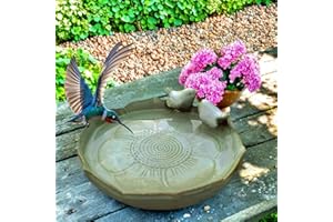 aunosit Bird Bath for Outside on Ground, 10 in Ceramic Birds Bath Bowl, Handmade Ground Bird Feeders and birdbath for Outdoors for Outdoors, Garden, Tabletop, Balcony and Lawn (Big - shallow)