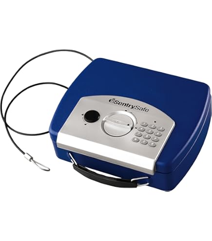 SentrySafe Portable Security Safe, Black - Amazon.com