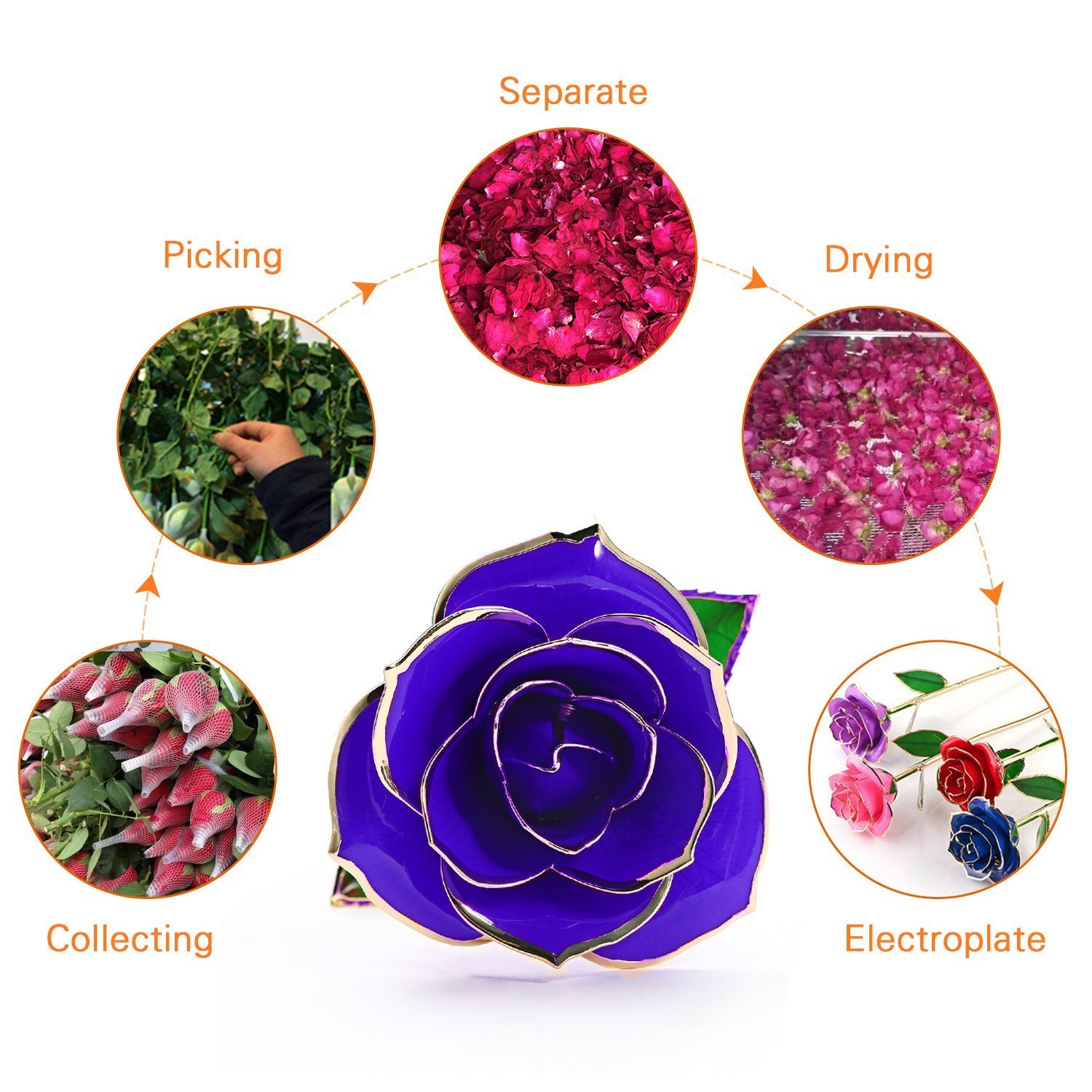 24K Gold Rose Flower, Metal Dipped Roses Artificial Flowers for Valentine Day, Anniversary, Birthday for Lover Mother Girlfriend, 24K Golden Plated Rose in Present Box Red