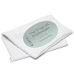 Coop Home Goods Original Pillow Case, Queen Size