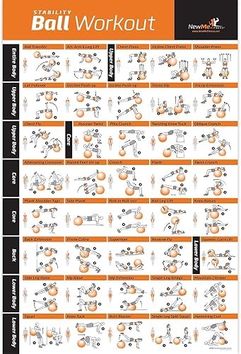 NewMe Fitness Workout Posters for Home Gym, Stability Exercise Posters ...