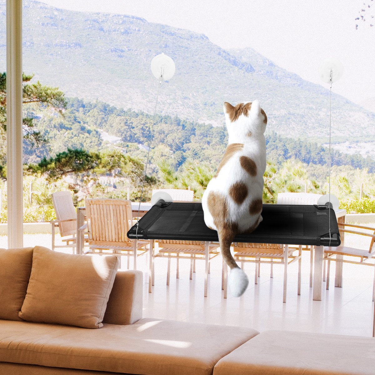 isYoung Cat Window Perch, Mounted Cat Sunshine seat Pet Hammock Kitty Bed Perch Cushion with 4 Ultra Heavy Duty Suction Cups Cat Bed Holds Up To 60lbs