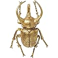 Kare Design Wall Decoration Atlas Beetle, Gold, 15 x 26 x 35.5 cm