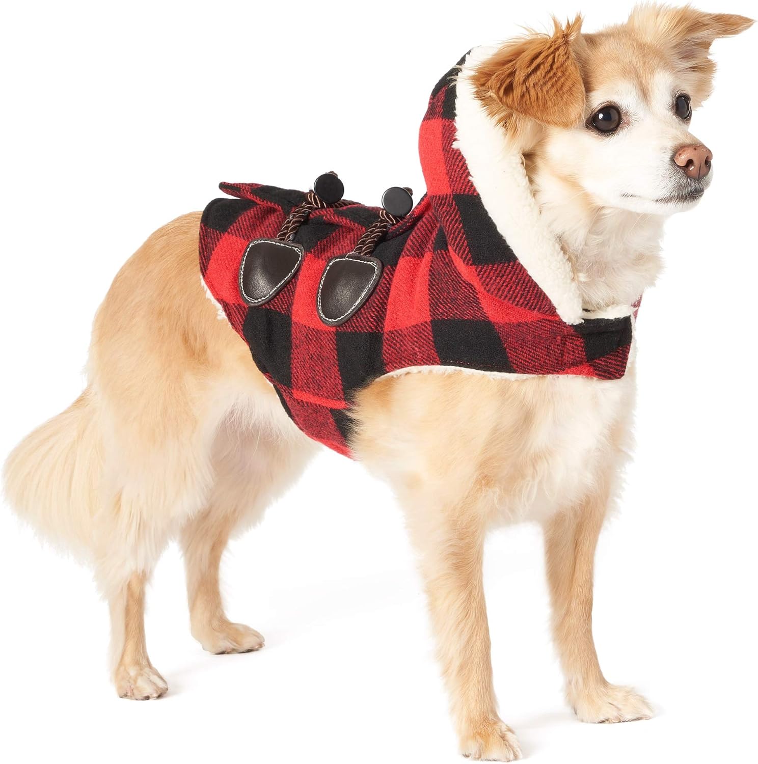 Friends forever dog apparel Clearance