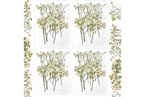 CONVELIFE Dried Babys Breath White, 48pcs Dried Flowers for Resin Pressed from Natural Flowers, Natural Pressed Flowers for Wedding Resin Art Craft DIY Card Making Home Party Decor (White)