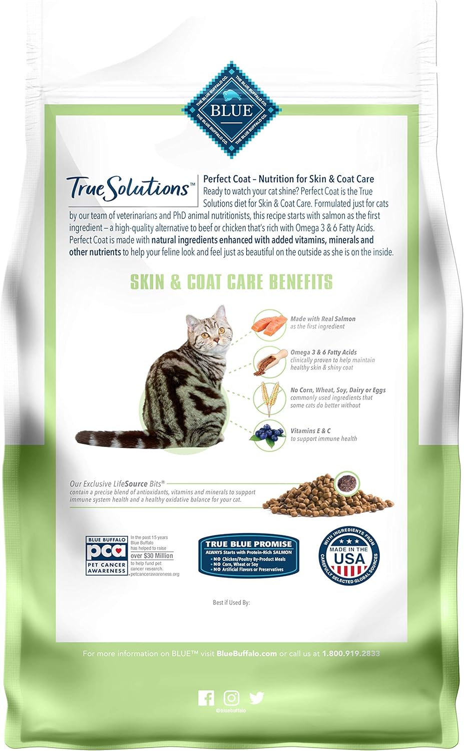 best cat food for cancer