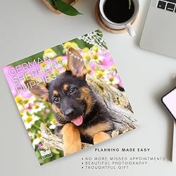July 2025- December 2026 Wall Calendar 18 Month