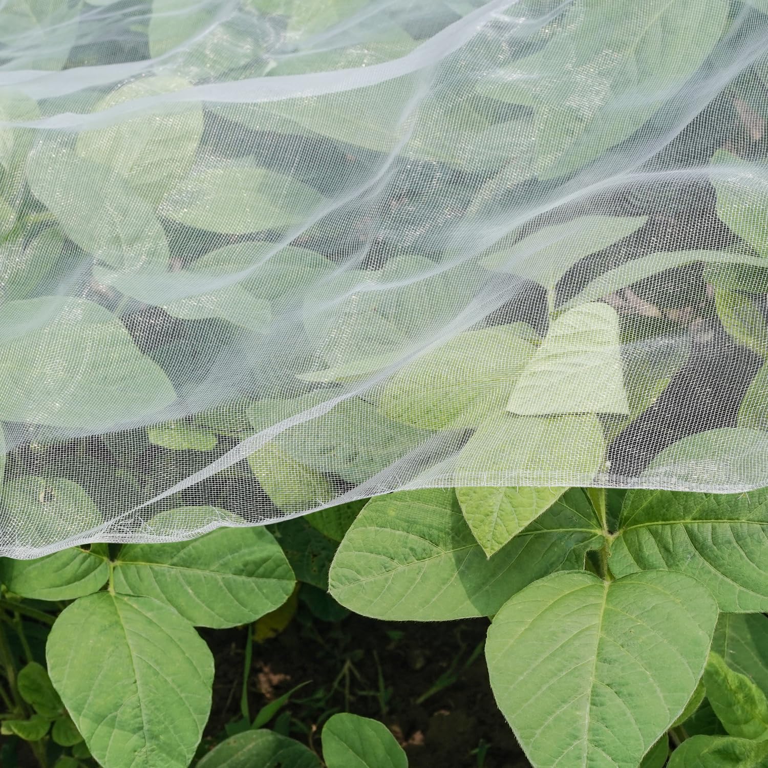 Photo 1 of Ultra Fine Garden Netting, 4'x10' Plant Netting Pest Barrier for Garden Protection Row Cover Raised Bed Screen Mesh Greenhouse Mosquito Net, Protecting Tree Plants Vegetable Flowers Fruits