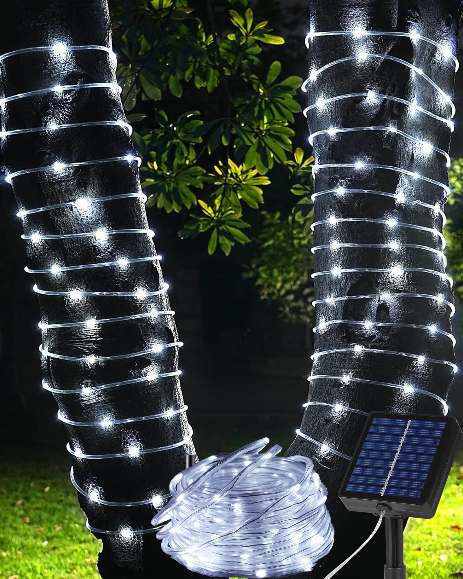 Tacobey Solar Rope Lights Outdoor - 32.8Ft 100 LED Solar Tube String Lights,Timer Function, 8 Modes Waterproof Solar Powered Fairy Lights for Garden Tree Party Patio Deco - Cool White