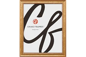 Craig Frames 16x20 Picture Frame, 0.75" Traditional Ornate Gold, Wall Hanging