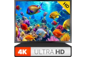 Ambiance Aquarium – Stunning 4K Ultra HD Underwater Experience