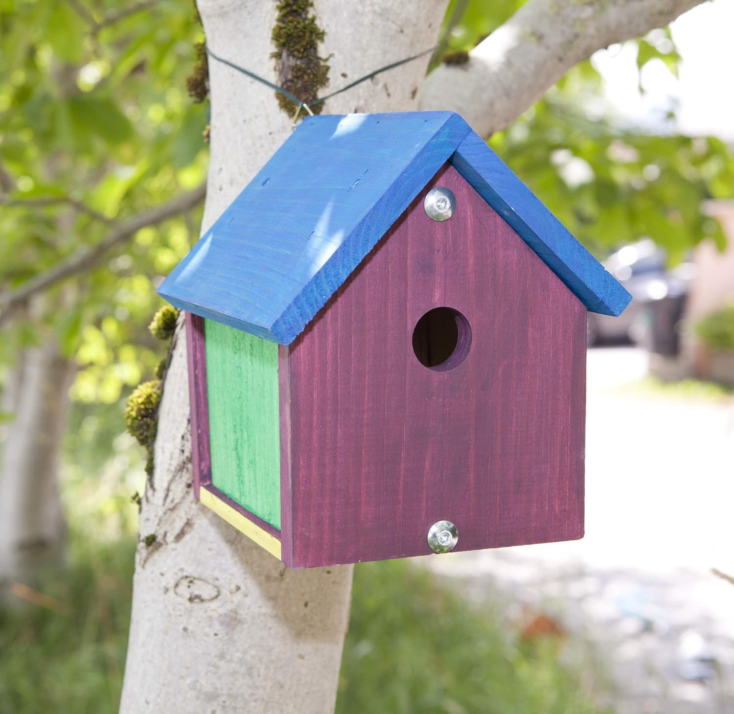 Windhager Nesting Box Kit Robin Bird House Build Your Own And Paint Beige, Includes Paint And Brush, 06945 - Image 5