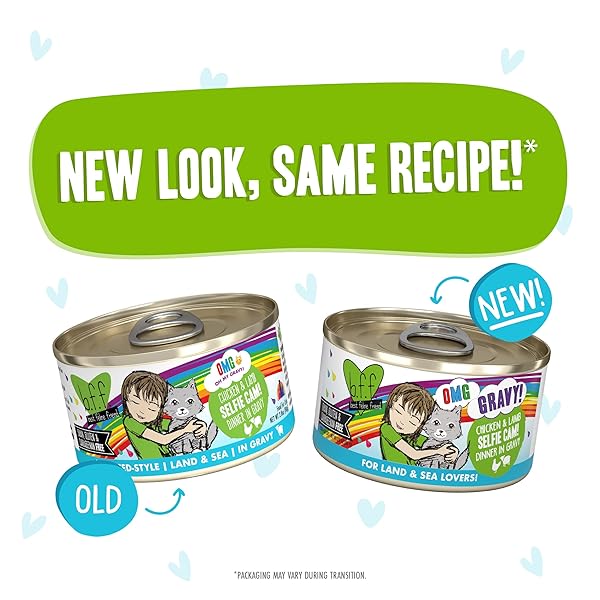 WERUVA B.F.F. OMG – BEST FELINE FRIEND OH MY GRAVY!, SELFIE CAM! WITH CHICKEN & LAMB IN GRAVY CAT FOOD, 2.8OZ CAN (PACK OF 12)