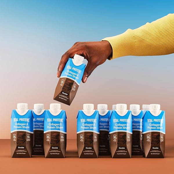 VITAL PROTEINS® CHOCOLATE COLLAGEN & PROTEIN SHAKE, 30G TOTAL PROTEIN INCLUDING 10G COLLAGEN PEPTIDES, HEALTHY HAIR, SKIN, NAILS & JOINTS**