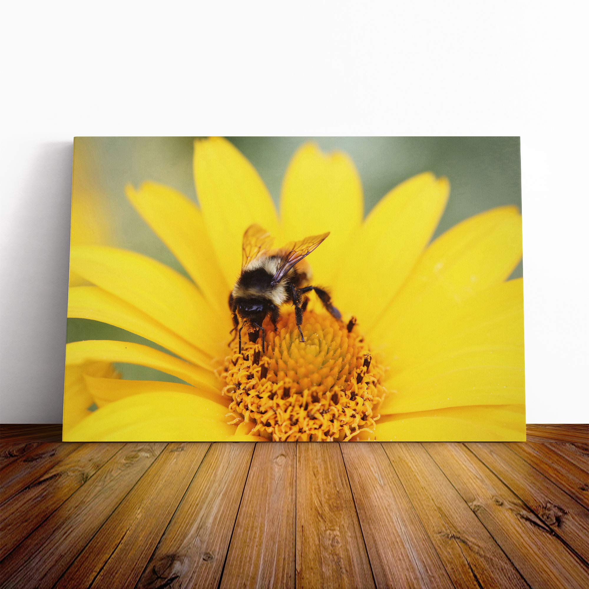 Bee Collecting Pollen Yellow Flower (1) Canvas Print | Gallery Wrapped 30mm Frame Wall Art | 20x14 inches | Ready to Hang | Modern Animals Picture | Living Room Bedroom Lounge Office