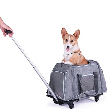 Petsfit Haustier Reisetasche Tragetasche mit Teleskopgriff, Hund weichseitige Tragetasche mit abnehmbaren Rädern, hellgrau mi