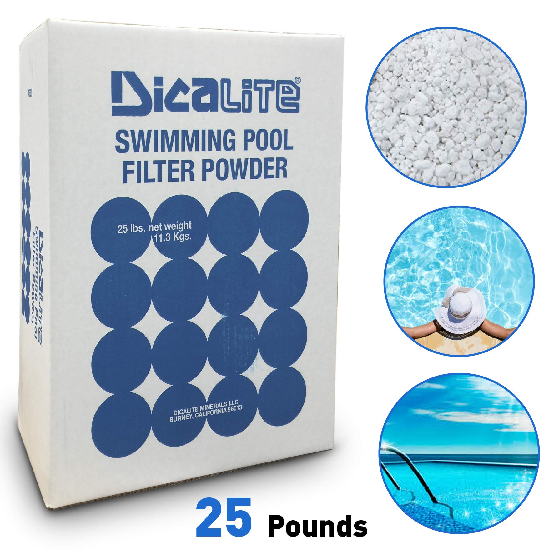Diatomaceous Earth And Pool Filter at Clint Williams blog