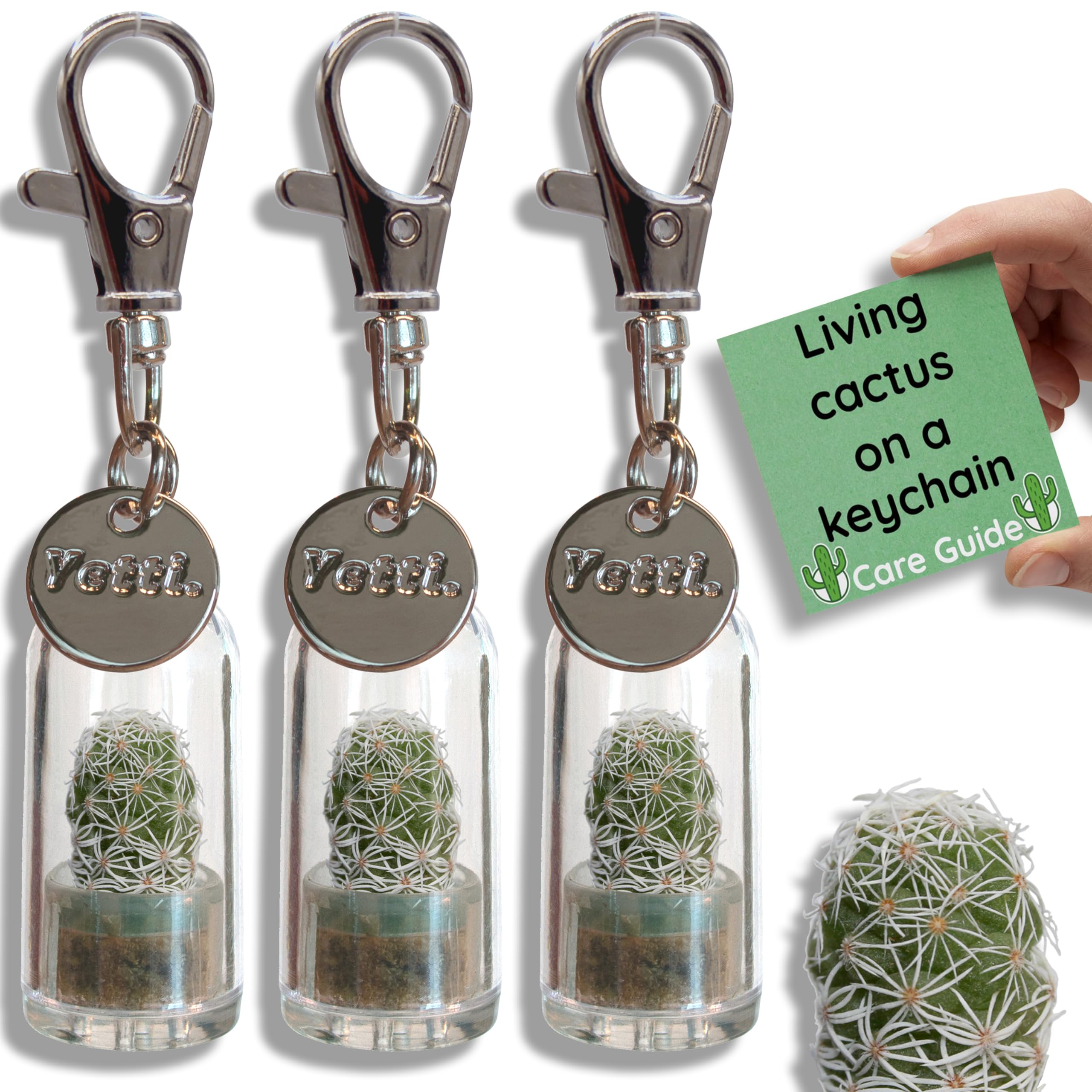 Yetti Mini Cactus Gift Keyring - Living Plants on Keychains (Ghost - Set of 3) - Tiny Plant Gift for Cactus Lovers
