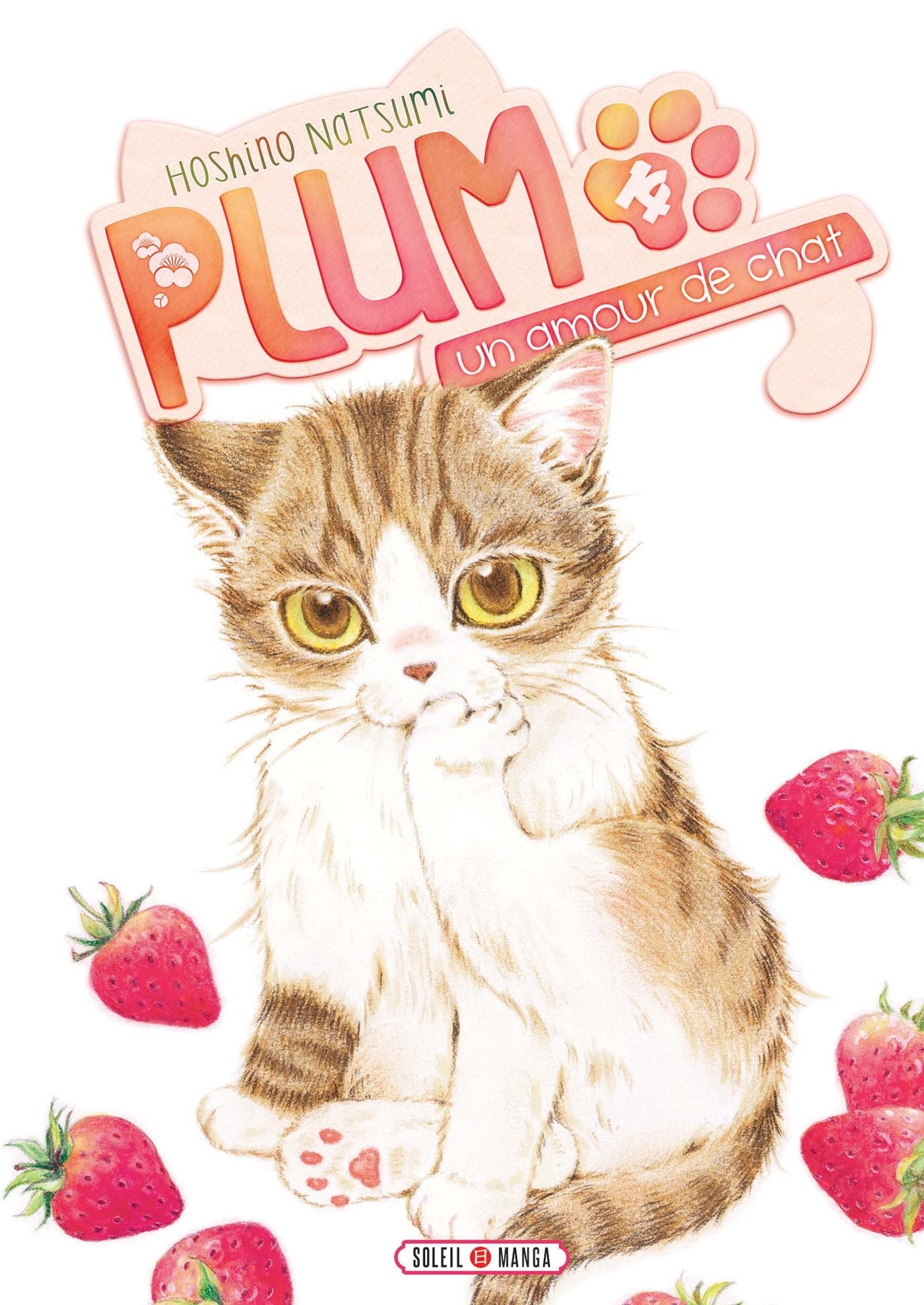 Plum Un Amour De Chat T14 Plum Un Amour De Chat 14 French Edition Hoshino Natsumi Hoshino Natsumi Amazon Com Books