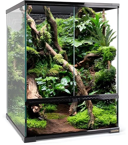 Exo Terra Advanced Paludarium & Rainforest Glass Reptile Terrarium