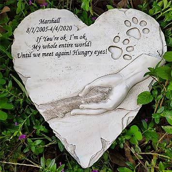 puppy graduation hat