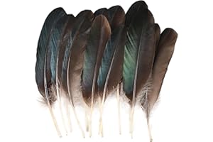 MehelloFeather Pheasant Feathers 12 PCS Natural Feathers 8-10 Inch for DIY Crafts Hat Floral Arrangements Wing Quill Wedding Home Party Decorations