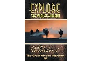 Explore the Wildlife Kingdom: Wildebeest - The Great African Migration