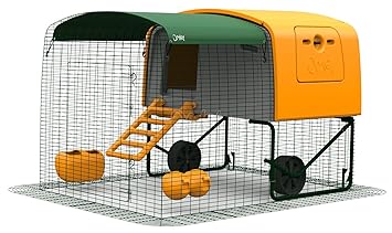 Poulailler Eglu Cube Orange Avec Bec Amazonfr Animalerie