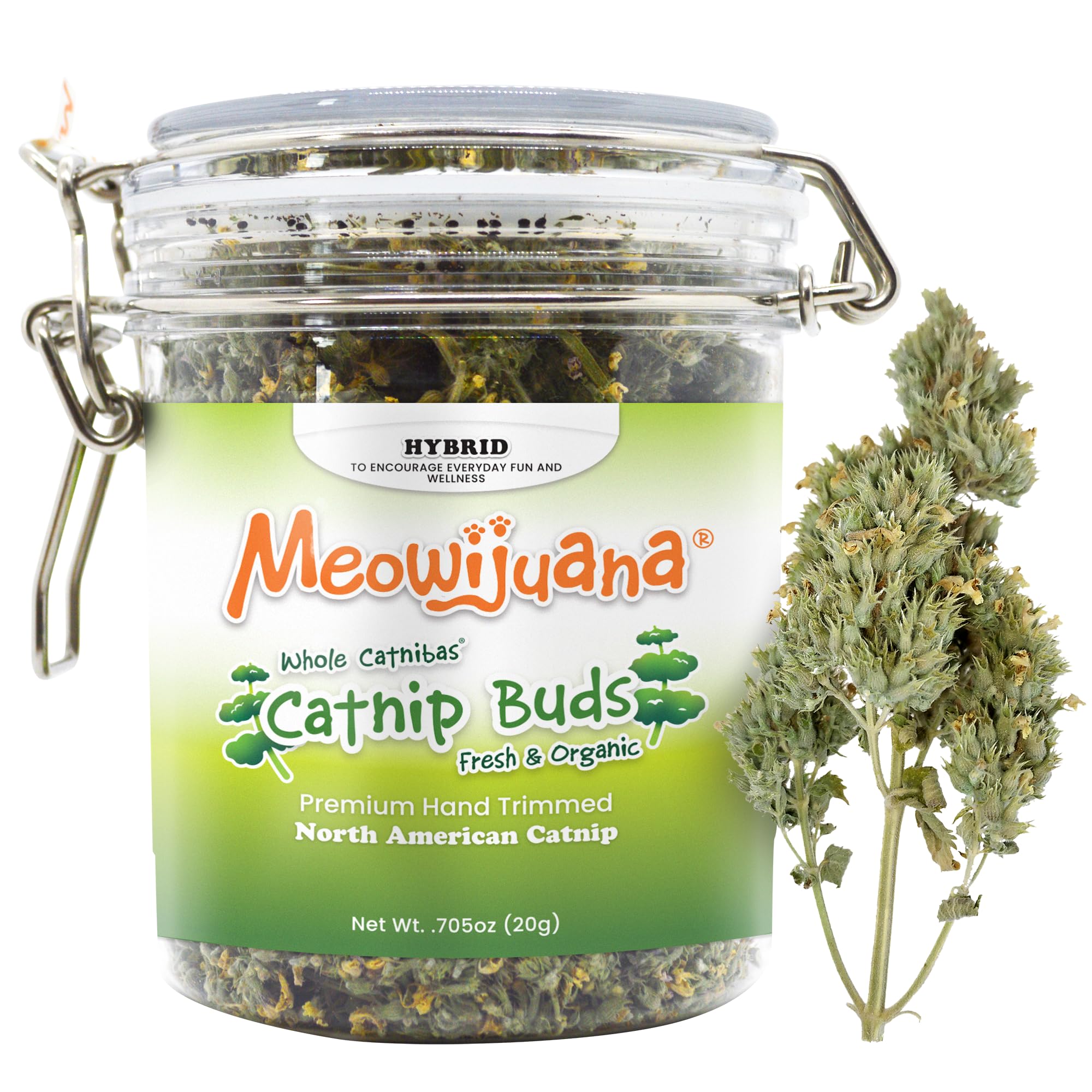 Meowijuana | Dried Catnip Buds Jar | 20 grams | Premium Organic Catnip | Grown in North America | Perfect for Cat Toys | Fresh Catnip for Extended Playtime | Elevate Your Cat's Enjoyment