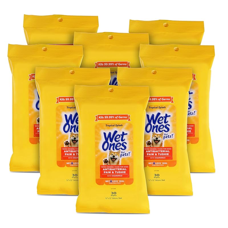 Top 10 Best Cat Wipes For Cats With Dirty Fur And Butt Ultimate Guide