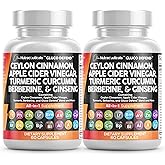Clean Nutraceuticals Ceylon Cinnamon Capsules + Berberine Turmeric Apple Cider Vinegar Ginseng Bitter Melon Gymnema Milk Thistle Fenugreek Supplement (60 Count (Pack of 2))