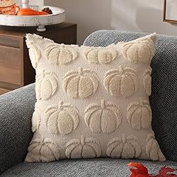 DFXSZ Fall Pillow Covers 16x16 Set of 2 Fall