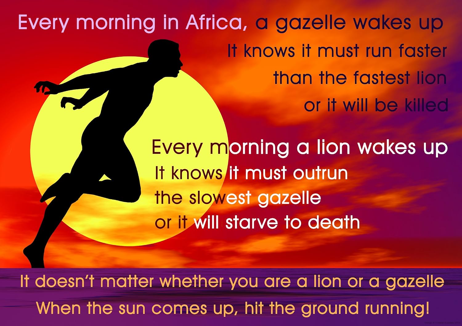 She run или runs. Цитаты про бег. Every runs. Every runs. Пробежка мысли.