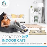 SOL 2pk Cat Scratch Mat 60x40cm Sisal Fabric Anti-Slip Backing view 6
